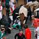 Illustration for article titled Bulls And Withdrawal Strategies